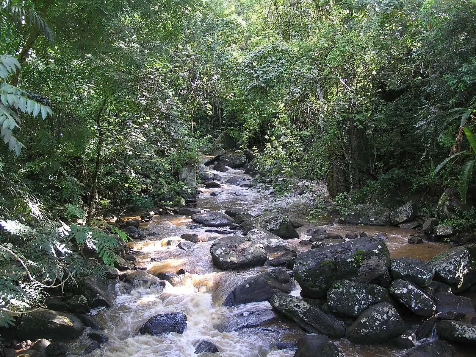3-Day Amani Nature Forest Reserve Adventure From Dar es Salaam