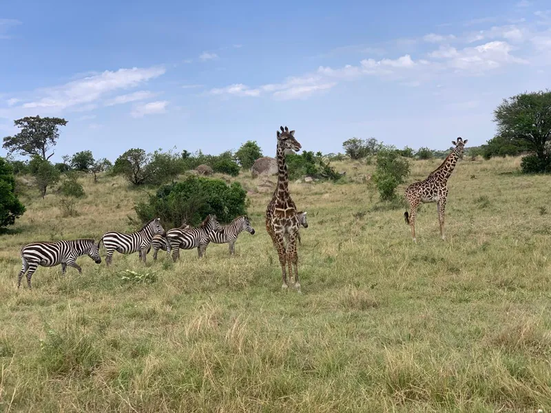 6-Day The Highlights Of Tanzania Safari Program