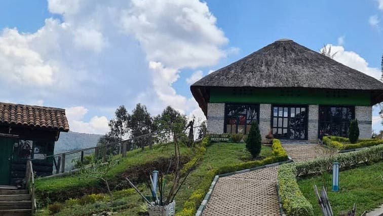 Nziza forest cottages