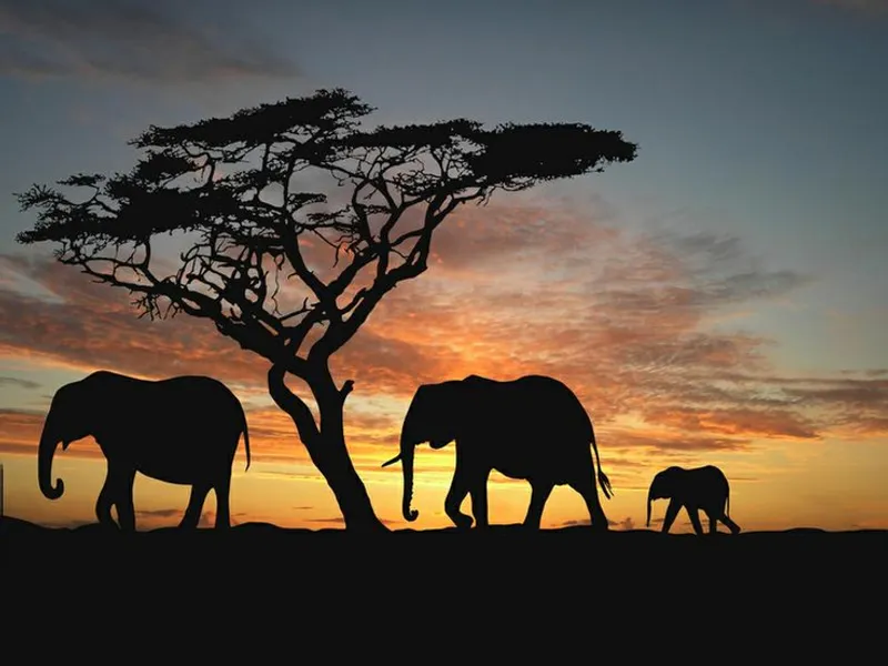 10 Days Kenya and Tanzania Safari