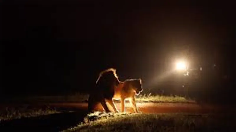 3-Day Night gamedrive in Tarangire National Park and Cultural Experience