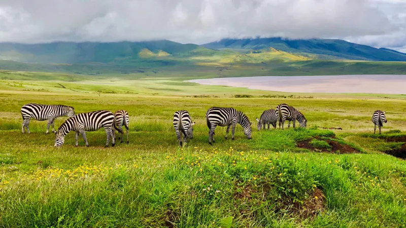 8 Day - Kenya & Tanzania Ultimate Safari