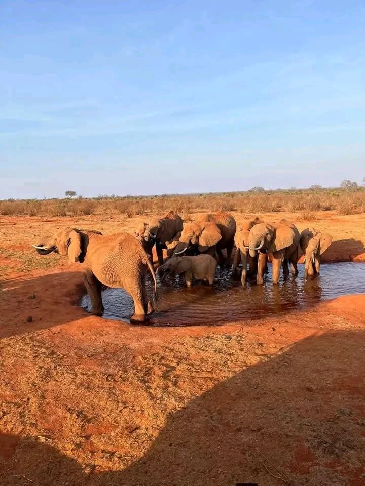 2 Days Rift Valley Escape