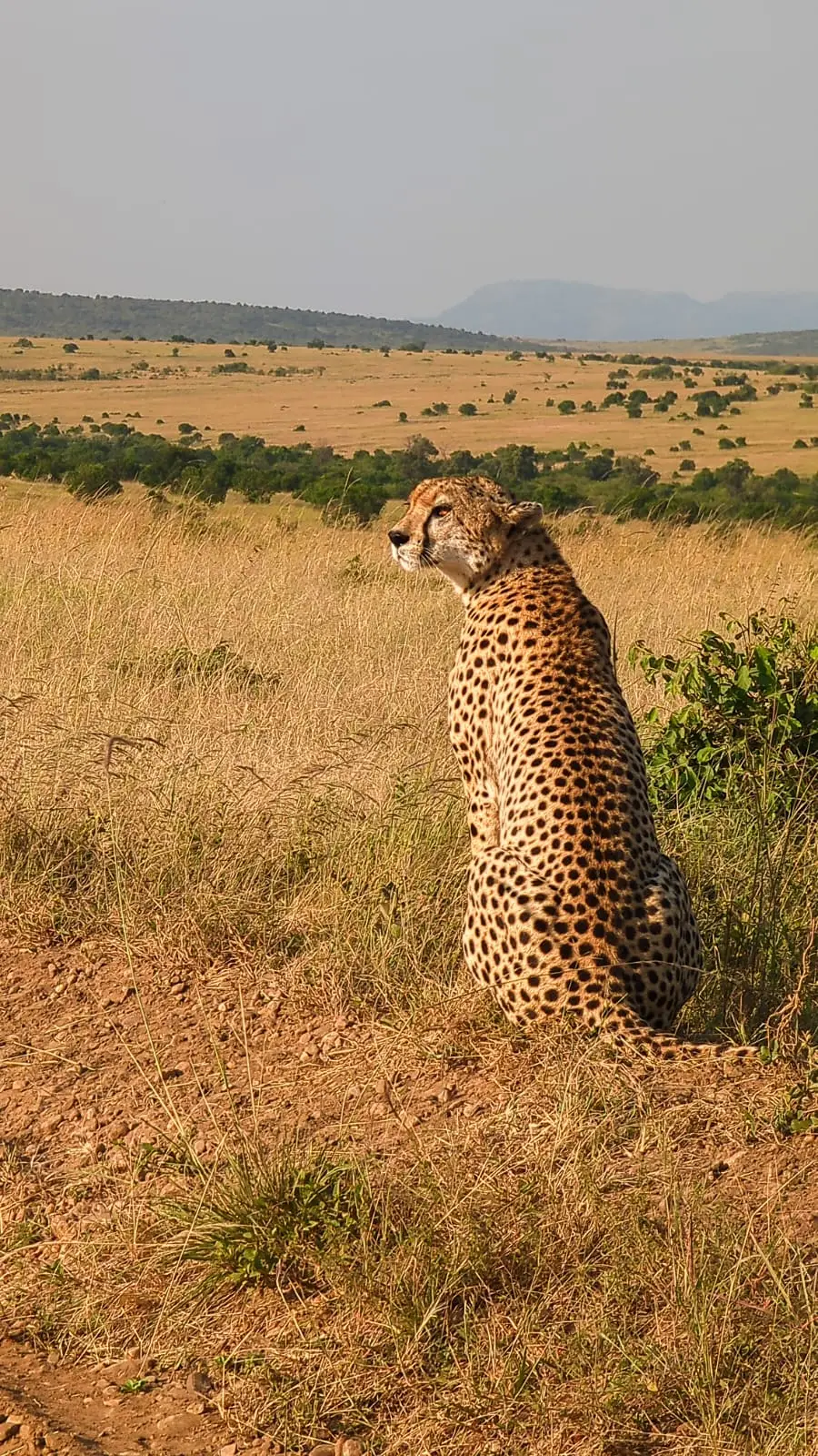 3 Days Mara National Reserve