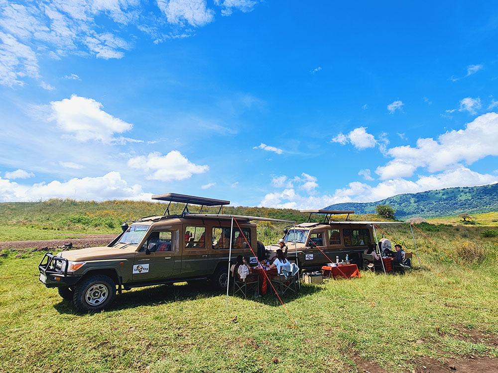 8 Day Tanzania Luxury Safari Wildlife Viewing - Lion King Adventures - Safarigo