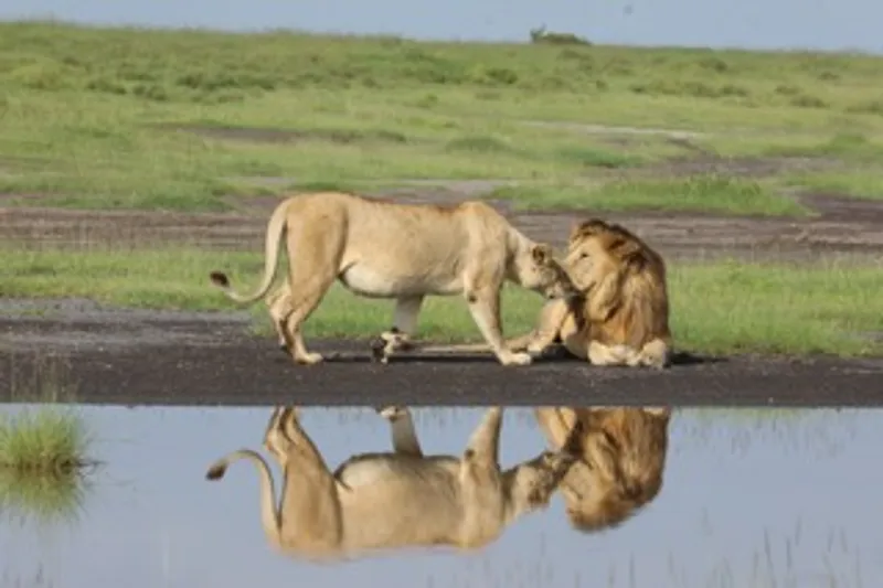 8-Day Tanzania Highlight