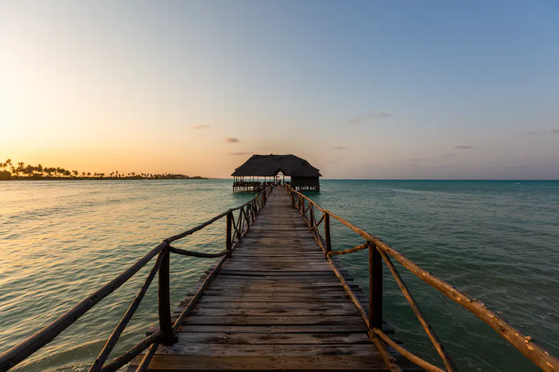 1-Day Zanzibar Dolphin & Mnemba Atoll Snorkeling Tour