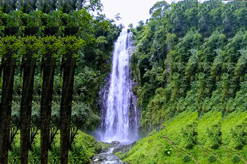 3- Day Arusha Np, Serval Wildlife & Materuni Waterfall