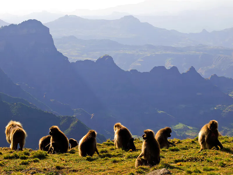 5-Day Simien Mountain Trekking Tour