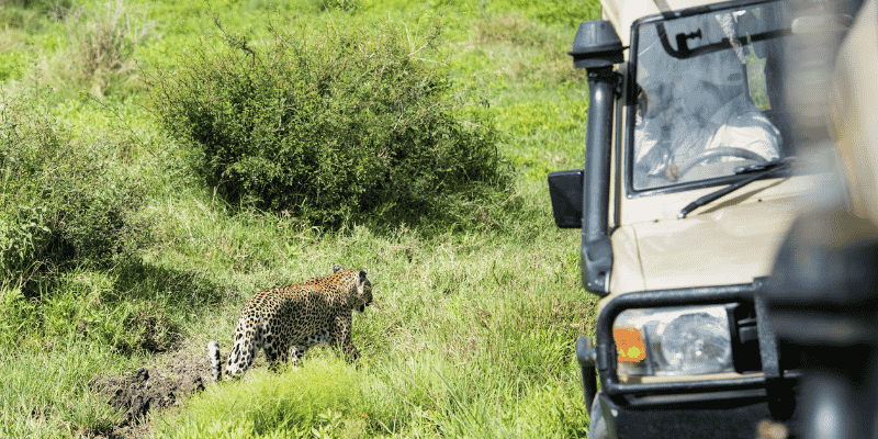 3-Day Fly in and out for a Luxurious Serengeti Adventure