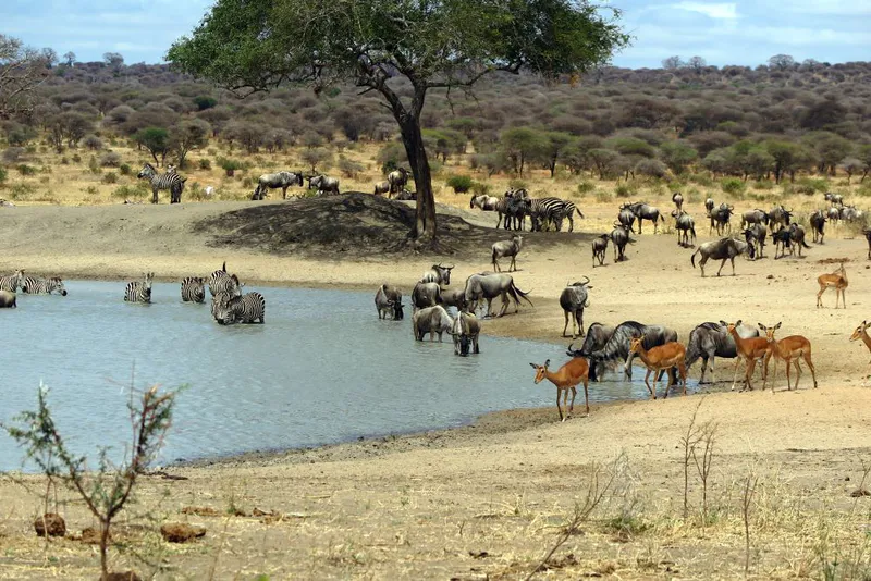 7-Day Safari Tarangire, Serengeti & Ngorongoro crater