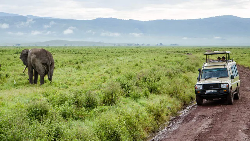 7 Day - Tanzania Wilderness Safari - Midrange