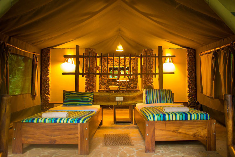 Kibale Forest Camp (Camping)
