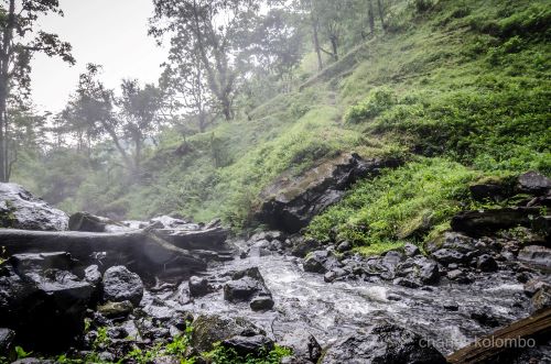 3-Day Adventure: Waterfalls, Hot Springs, Wildlife, and Safari