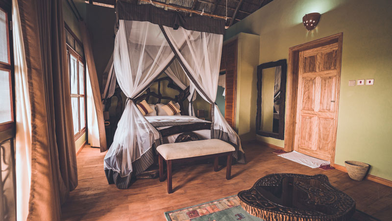 Buffalo Safari Lodge