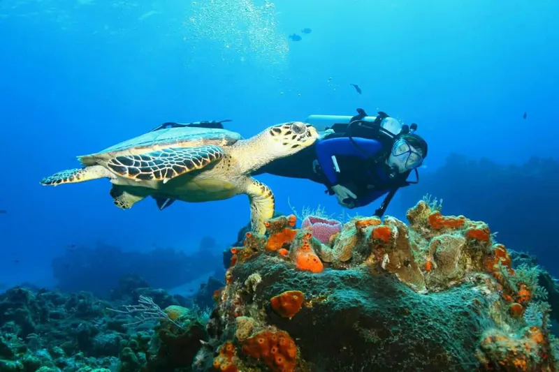 4-Day Nosy be island discovery