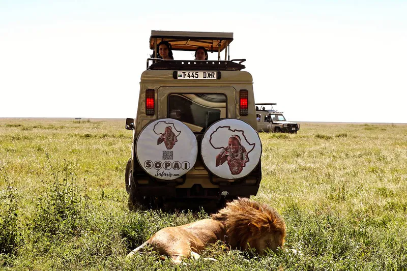 5 Days: taste of the Northern Circuit Tarangire, Ngorongoro, Serengeti and Lake Manyara (All year Around)