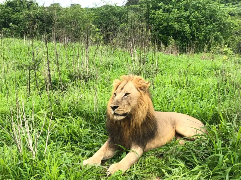 3Day - Historical Town of Bagamoyo and Saadani NP - Embark on Beach Safari