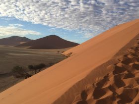 9-Days Namib Naukluft Park,Coastal Twom of Swakomund, Etosha National Park
