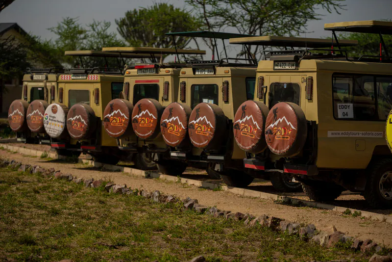 5-Days Serengeti Safari
