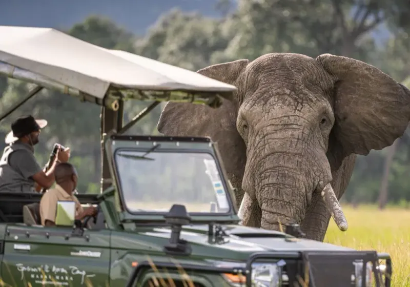 7-Day Kenya Wildlife Adventure & Outdoors Activities Safari