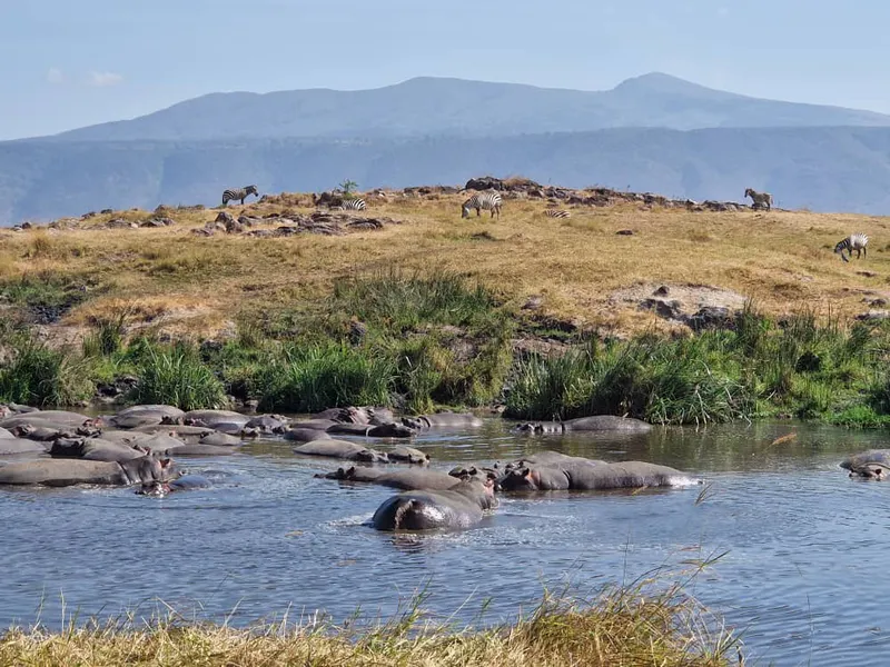3-Day Luxury Safari (Tarangire, Ngorongoro )