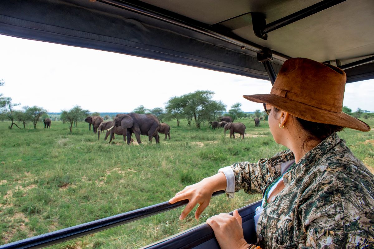 9 Day Migration Safari Calving Season from Dec + Zanzibar - Safari Africa united limited - Safarigo