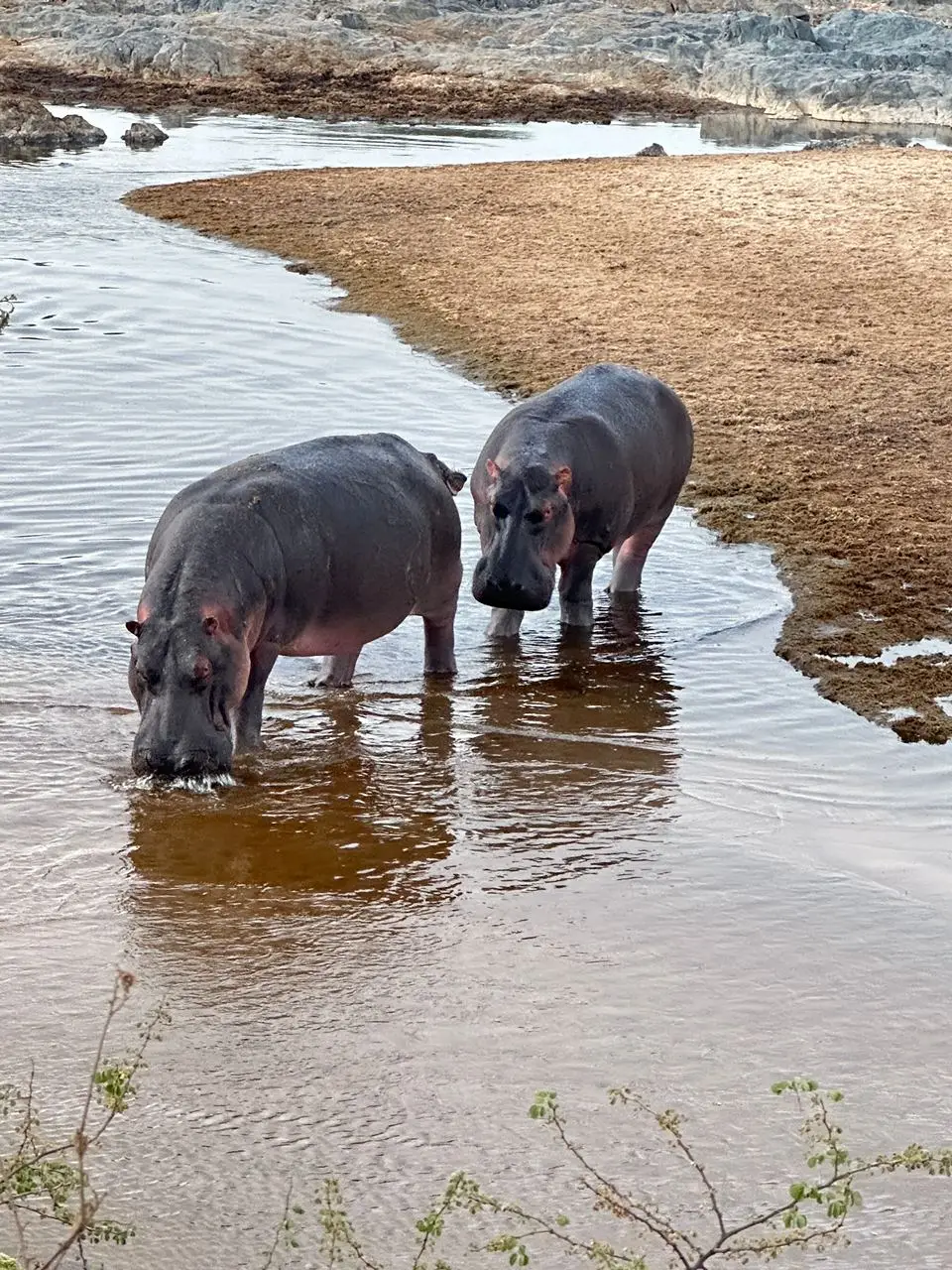 3-Day Honeymoon Safari – Serengeti & Ngorongoro Crater