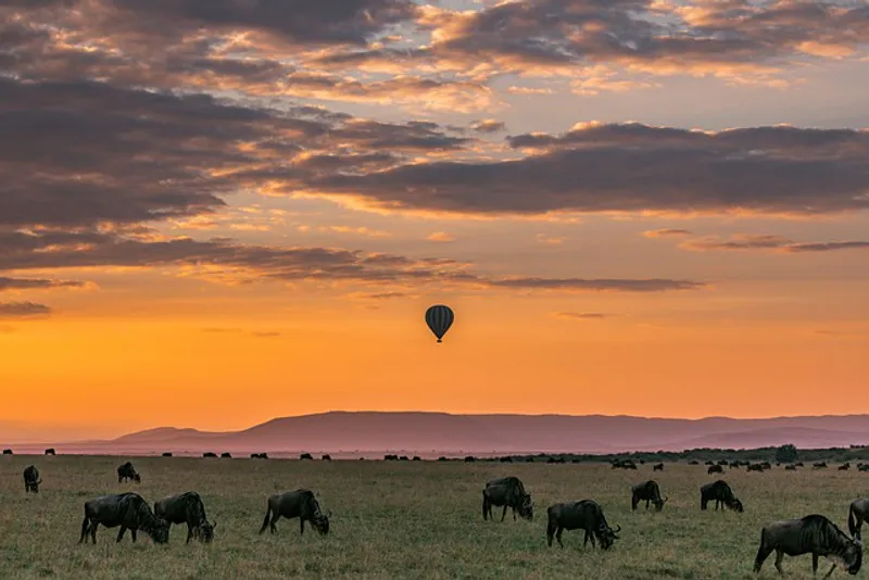 8 Day Mid – Luxury; Mara River Great Migration Safari