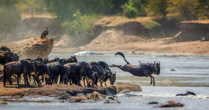 4-Day Ngorongoro Crater & Serengeti NP Luxury Tour