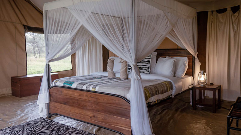6-Days Luxury Safari Visiting Tarangire, Serengeti, Lake Manyara and Ngorongoro Crater