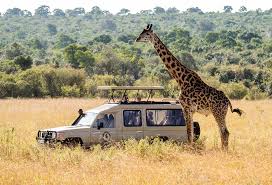 3 Days Safari Serengeti Package