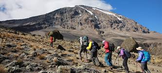 6天乞力马扎罗山登顶探险之旅(马兰古路线)
