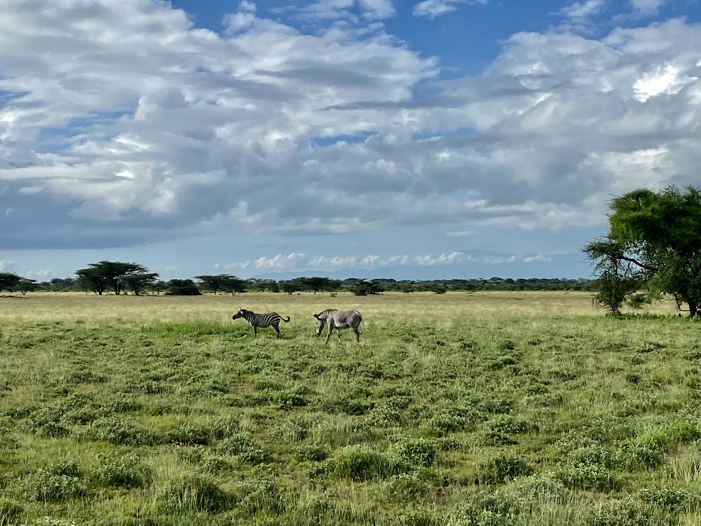 9 Days Luxury Expedition Ol Pejeta- Lake Elementaita- Masai Mara - Lake Naivasha - Amboseli - Tsavo West National park