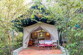 11-Day The best of East Africa Safari