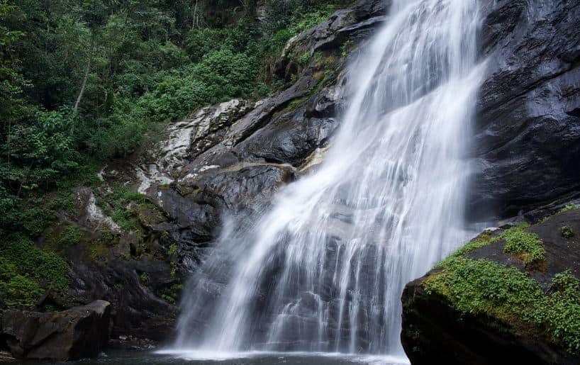 4DAY-CHIMPANZEE TREK IN GOMBE STREEM NATIONAL PARK