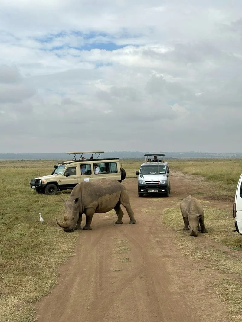 10- Days Kenya and Tanzania Best Combo Tour Package