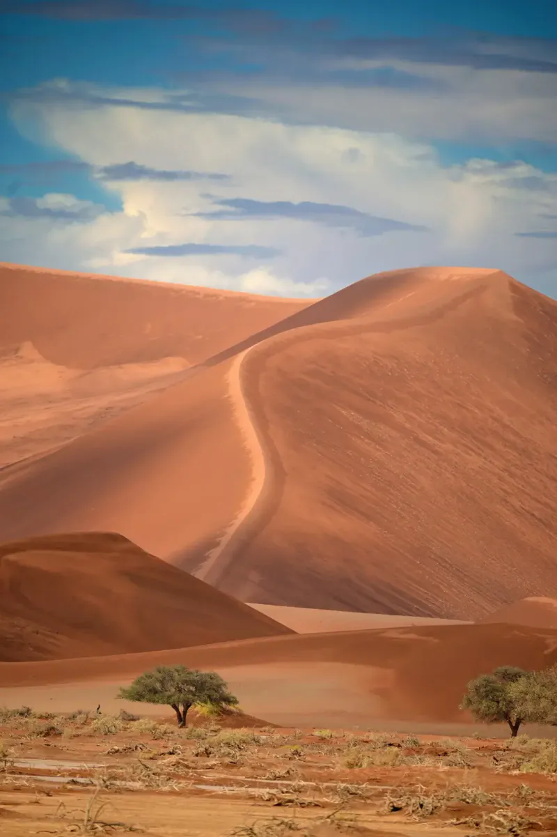 9-Days Namib Naukluft Park,Coastal Twom of Swakomund, Etosha National Park