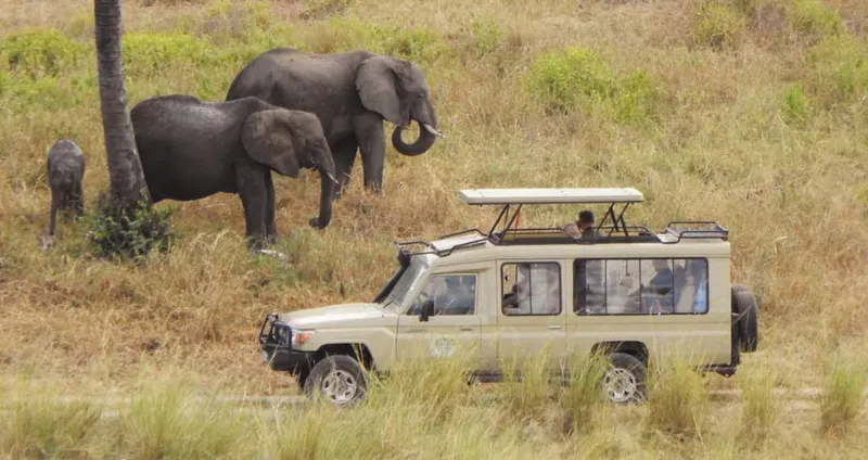 7-Day Serengeti, Ngorongoro, Tarangire and Lake Manyara