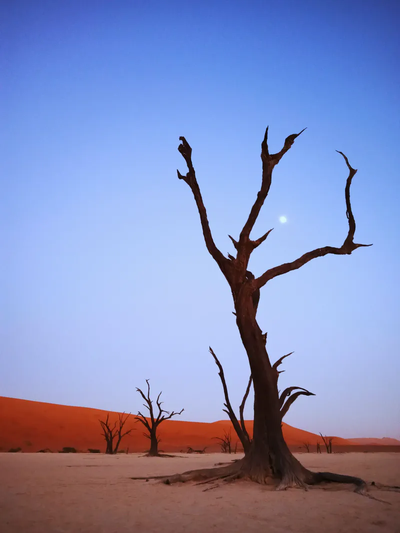 Epic Namibia: 14 Day Adventure