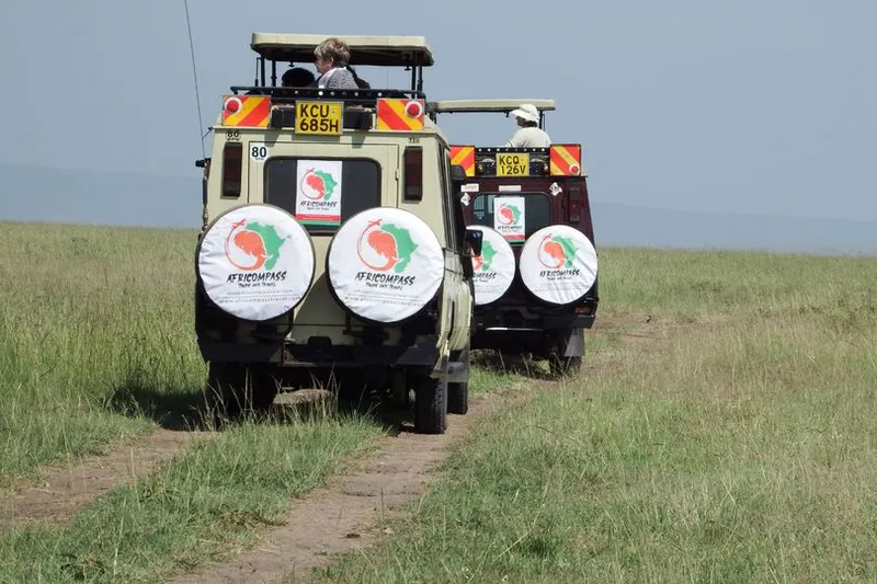 6-Days Amboseli, Elementaita and Maasai Mara