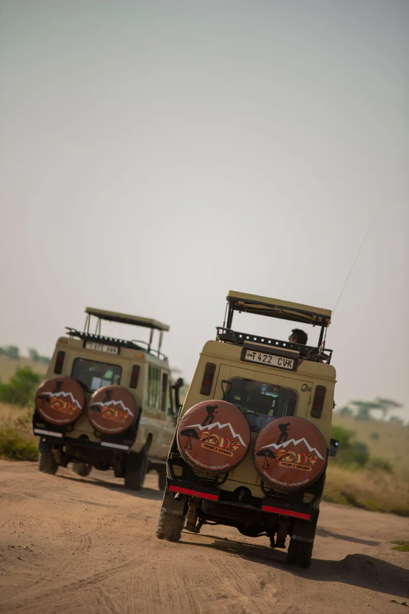 Tarangire Day Trip Group Joining