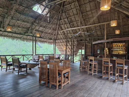 3-Day Nyerere National Park (Selous Game Reserve) Safari Package.