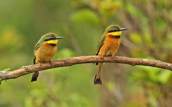 3 Day Queen Elizabeth National Park Visit