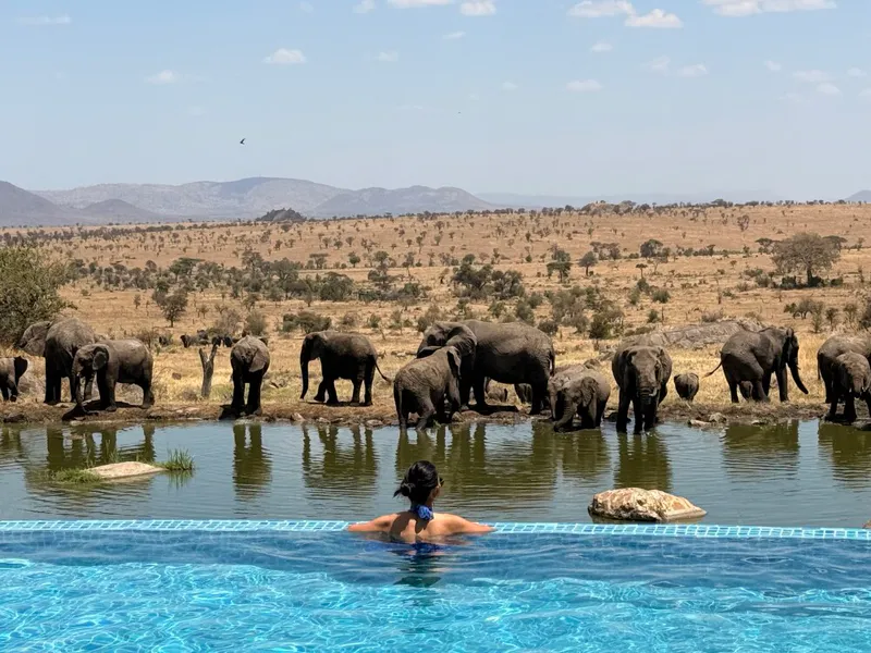 9-Day Wild Tanzania: The Great Migration River Crossing Experience