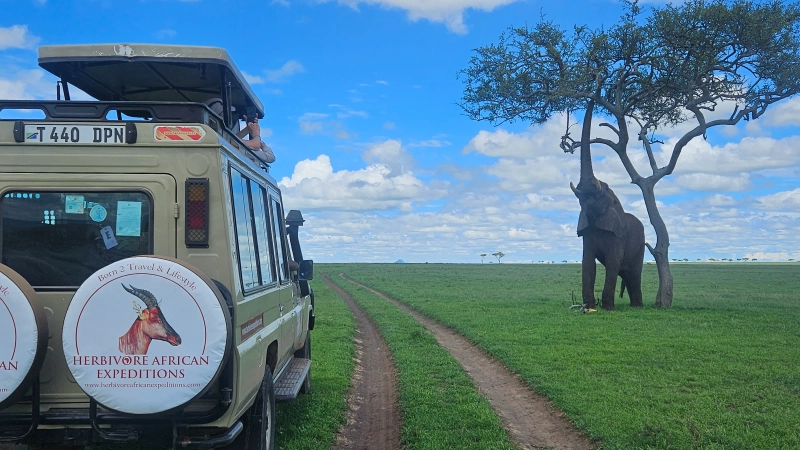 5 Day Serengeti Four Seasons Safari Lodge