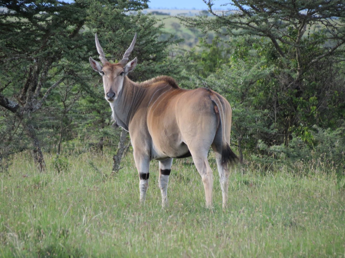 7 Days Best of Tanzania Safari