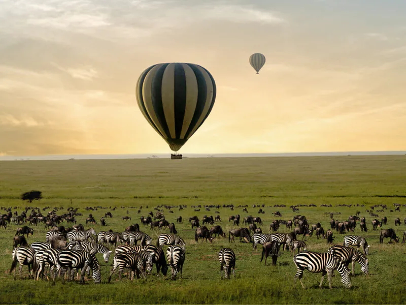 5 Days tracking the ndutu migration herds