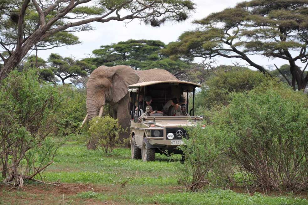 2-Day Lark Plains & Arusha National Park Birdwatching Safari