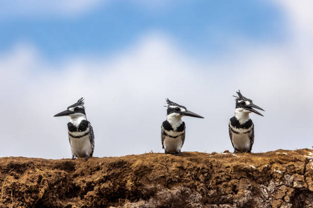 3 Day Queen Elizabeth National Park